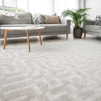 Carpet Installations in South Carolina